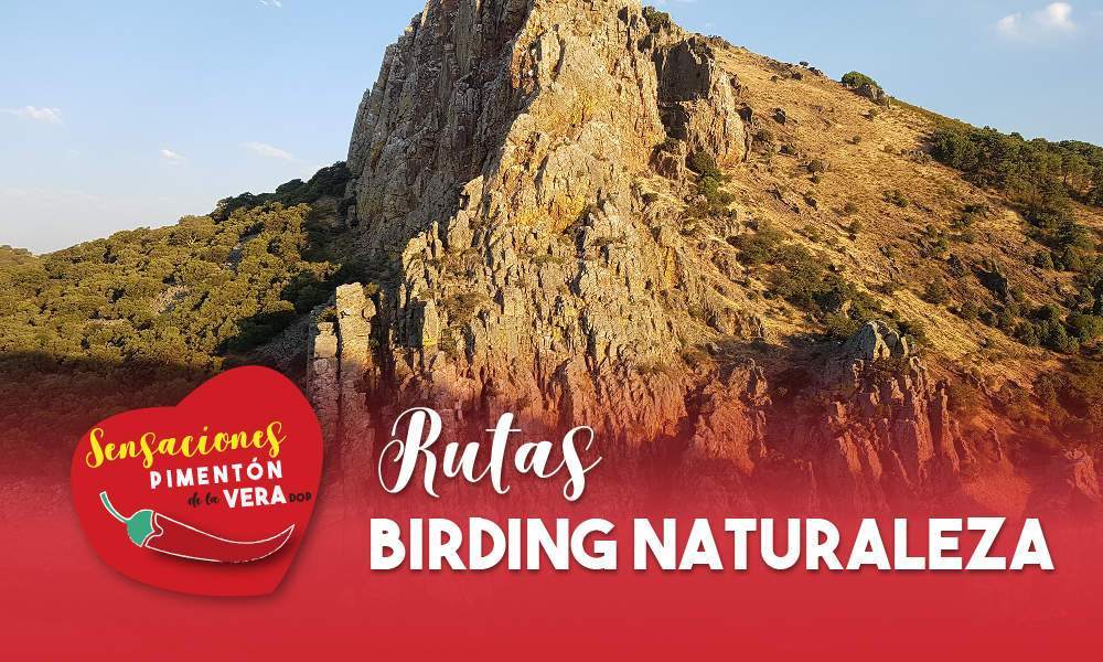 Rutas Birding Naturaleza 2020