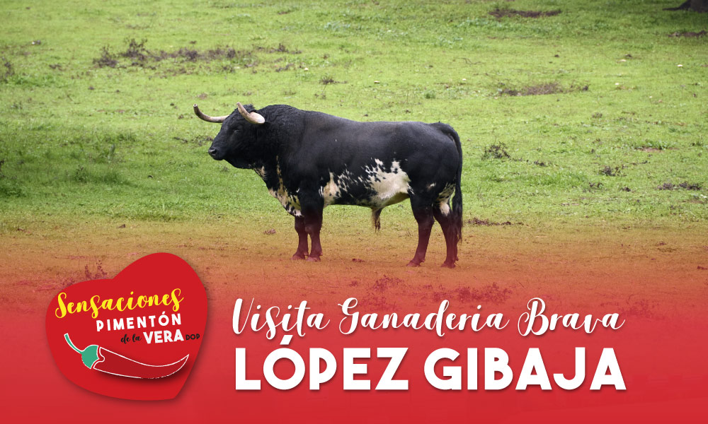 Visita a la Ganadería Brava López Gibaja